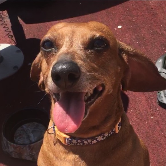 Meet your Posher, Reno - Picture 2 of 3